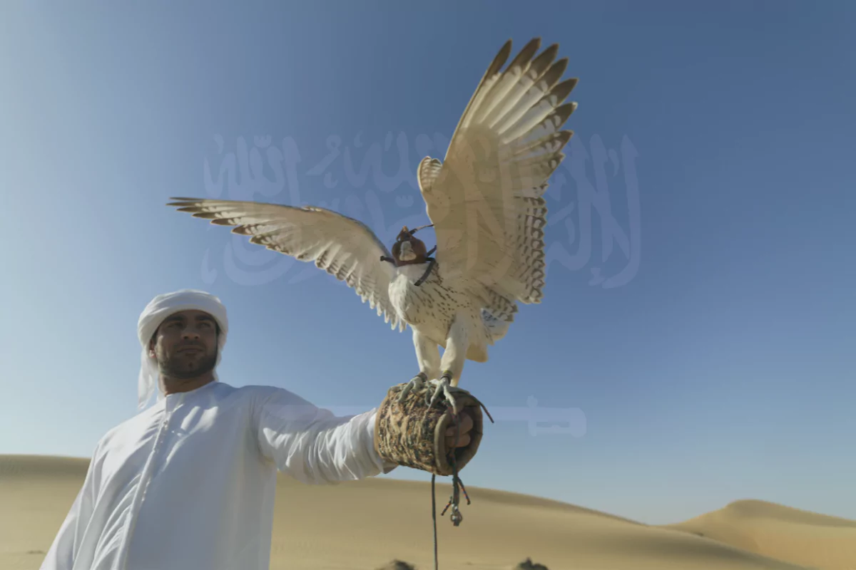 You are currently viewing Saudi Arabia National Bird: Preserving the Pride
