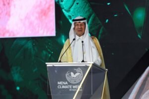 Read more about the article Decoding Saudi Arabia COP28 Summits