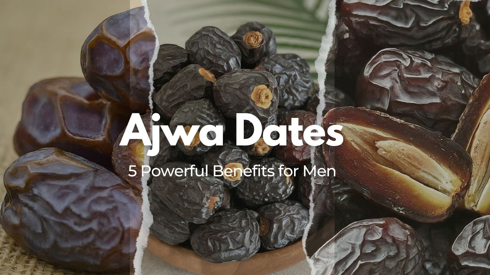 You are currently viewing Saudi Ajwa Dates: 5 Powerful Benefits for Men